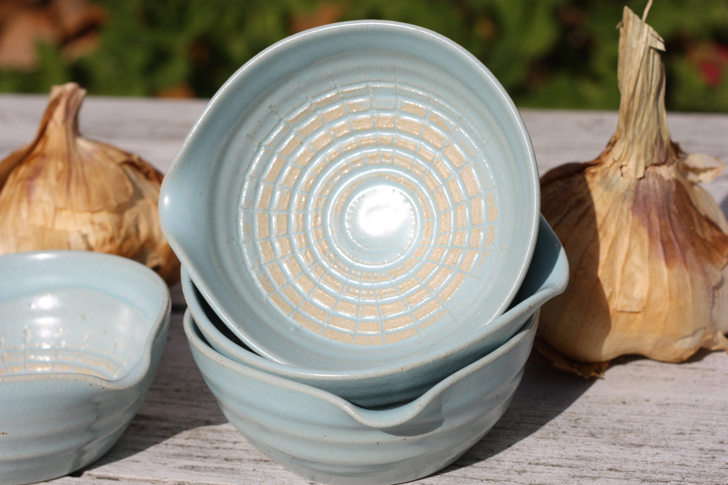 Garlic Dish for making garlic puree in Blue