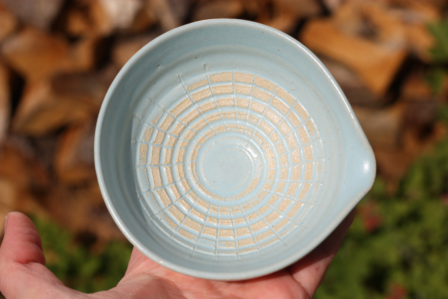 Garlic Dish for making garlic puree in Blue