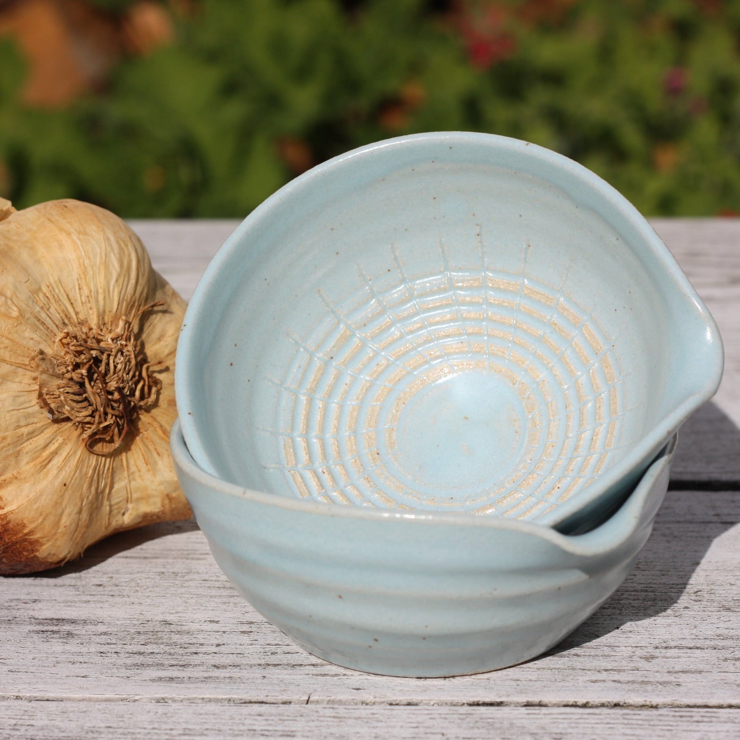 Garlic Dish for making garlic puree in Blue